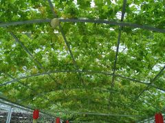 -兴芮温泉度假区