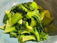 上海青-庐灶江南·江南菜·四合院Bistro(东直门·华侨夜泊君亭店)