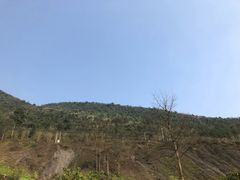 -华蓥山天意谷景区