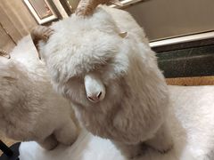 -新兴家喻酒家·羊城名宴(昌岗店)