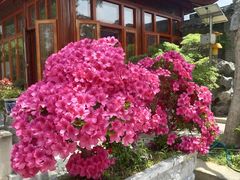 -苏州冶园园林民宿(太湖西山风景区店)