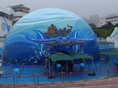 -海合安青岛极地海洋公园