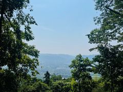 -缙云山景区