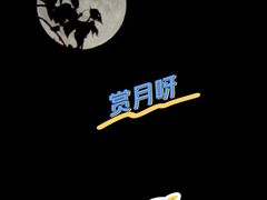 -楠火锅(西单店)