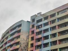 -黄桷坪涂鸦艺术街