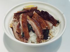 -潮双喜正宗澄海狮头鹅华利路店