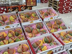 -诚实果品批发行(三星路店)