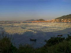 -枸杞岛