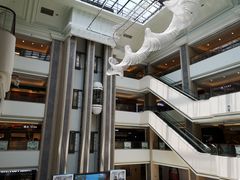 -红星美凯龙(浦江店)
