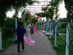 android_upload_pic-碧海金沙