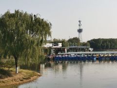 -大兴滨河森林公园