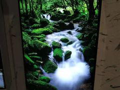 -温汤大酒店餐厅