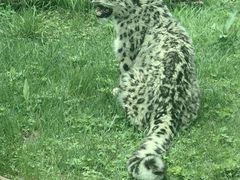 -青藏高原野生动物园