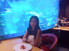 -迪拜帆船酒店海底餐厅