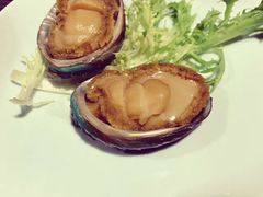 -青叶202都市餐厅(迪诺水镇店)