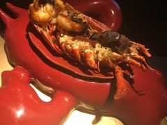 -地球美食剧场