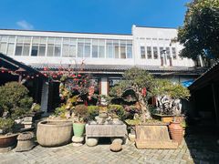 -木子山庄·安徽省老字号·中国炖锅宴