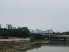 -广东花都湖国家湿地公园