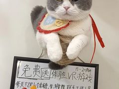 -共舞时光猫咖·狗咖(新街口店)