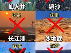 -坛南湾阿强农家乐.海鲜大排档老字号(福州地标美食店)