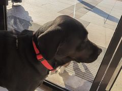 -关爱宠物医院·猫科中心·消化科(滨湖万达分院)