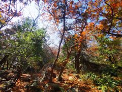-虞山风景区