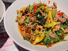 香菜炒牛肉-壹盏灯(蚂蚁工房店)