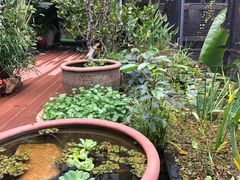 -肴约·花园式餐厅(湖里店)