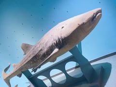 -泉城欧乐堡海洋极地世界