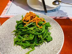 虫草花龙须菜-赵小姐丨新中餐(曲江店)