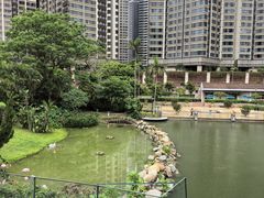 -石排湾郊野公园