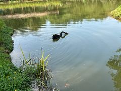 -森波拉奇妙世界