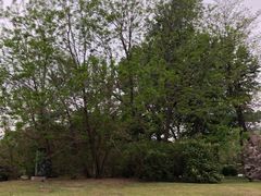 -长白岛森林公园