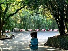 -潜山国家森林公园