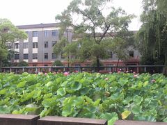 -四川大学(望江校区)
