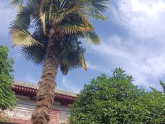 -西安市广仁寺