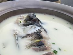 -浔味·山屿湖·正宗淳牌全鱼宴老字号