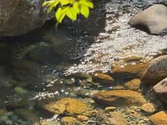 -石台牯牛降景区