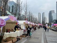 -合景·悠方(成都店)