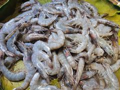 -集杰尚品海鲜烤肉自助餐厅(乳山振华店)