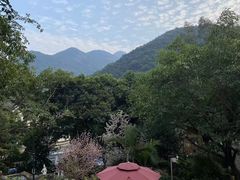 -深圳东部华侨城茵特拉根酒店