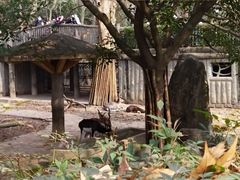 -成都动物园