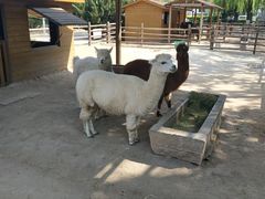 -北京市海淀外国语实验学校