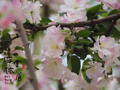 -海棠花溪(元大都城垣遗址公园)