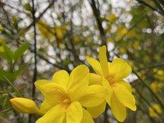 -贵阳市花溪国家城市湿地公园