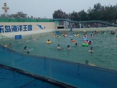 -秦皇岛乐岛海洋王国