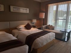 -河源万绿湖美思威尔顿酒店