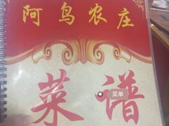 -阿鸟农庄(石壁店)