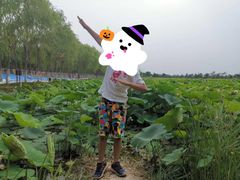 -西青郊野公园