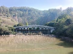 -水濂山森林公园